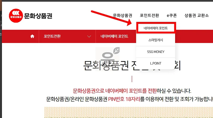 올리브영에서 문화상품권 쓰는 2가지 방법! (온라인 & 오프라인 사용법)