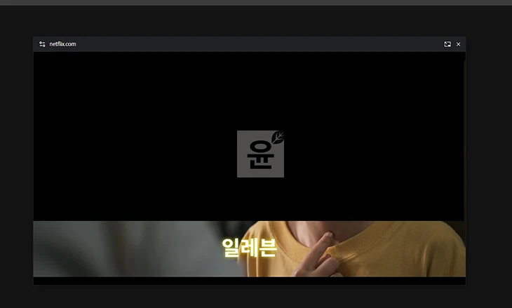 PC에서 넷플릭스 PIP 모드 자막 같이 보는 방법