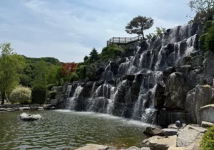 실제 다녀온 용인 자작나무숲 후기