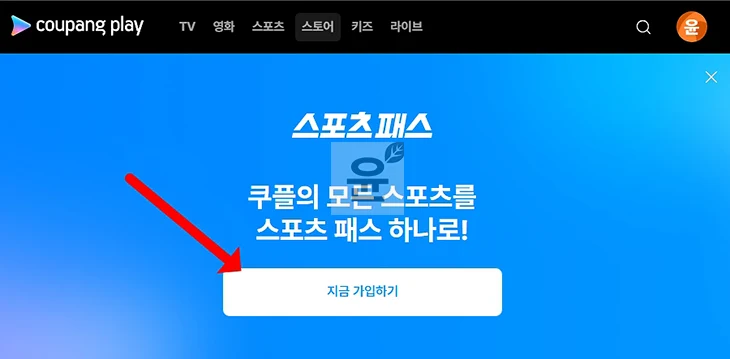 쿠팡플레이 스포츠패스 가격, 가입 방법 간편하게 알아보기