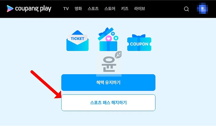쿠팡플레이 스포츠패스 해지 및 환불 방법, 주의사항 꼭 확인하세요