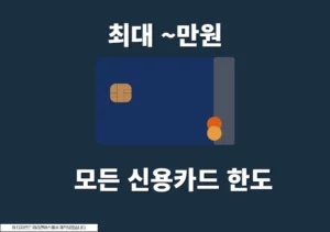 보유한 모든 신용카드 한도 한 번에 확인하는 방법