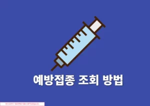 예방접종 조회 방법 정리, 본인 포함 아기, 자녀 기록 확인하기