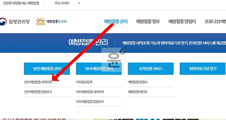 예방접종 조회 방법 정리, 본인 포함 아기, 자녀 기록 확인하기