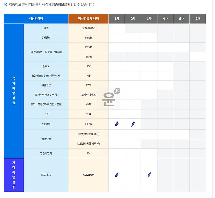 예방접종 조회 방법 정리, 본인 포함 아기, 자녀 기록 확인하기