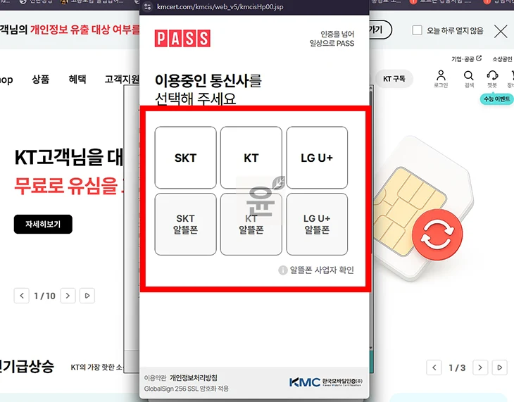 PASS 본인 인증 하는 방법 간단하게 진행하기