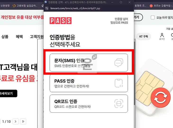 PASS 본인 인증 하는 방법 간단하게 진행하기