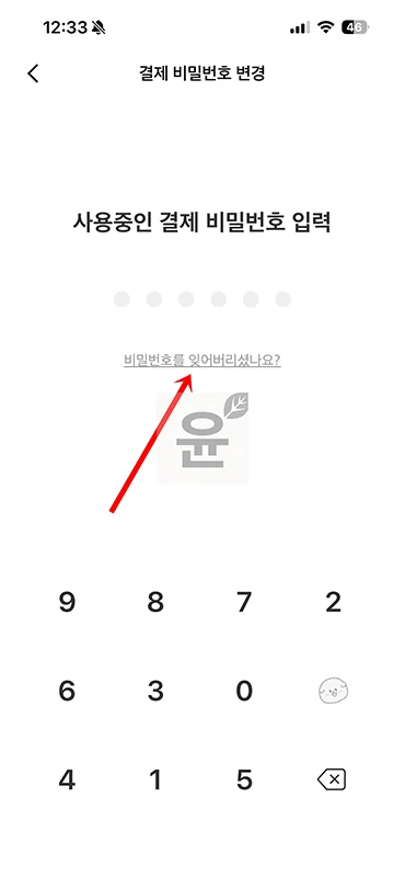 페이코 결제 비밀번호 분실 시 찾는 법과 변경 방법 한눈에