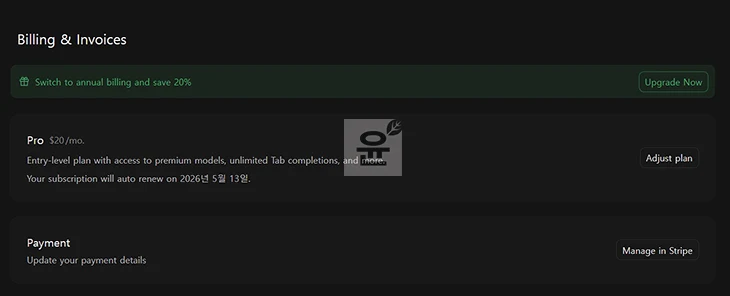 커서 사용량 조회 방법, Cursor Pro Plan 사용량 확인하는 법