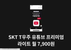 SKT T우주 유튜브 프리미엄 라이트 월 7,900원 혜택과 단점 2가지