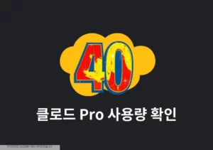 클로드 Pro 사용량 확인과 한도 초기화 시간 조회하기