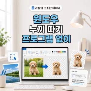 윈도우 누끼 따기 방법, 프로그램 없이 사진 배경 제거하기