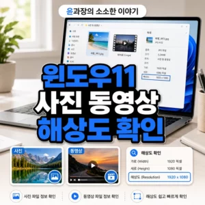 윈도우11 사진 동영상 해상도 확인 방법, 파일 탐색기에서 바로 확인하기