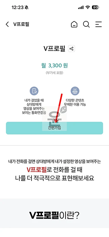 KT V프로필이란 설정 방법, 가격, V컬러링 차이 총정리