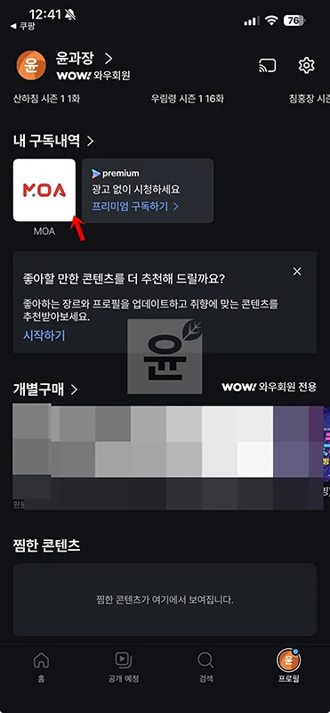 쿠팡플레이 모아패스 가입 방법, 가격과 이용 후기까지 정리