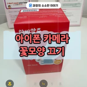 아이폰 카메라 꽃모양 끄기 방법, 켜고 끄면 어떤 차이가 있을까